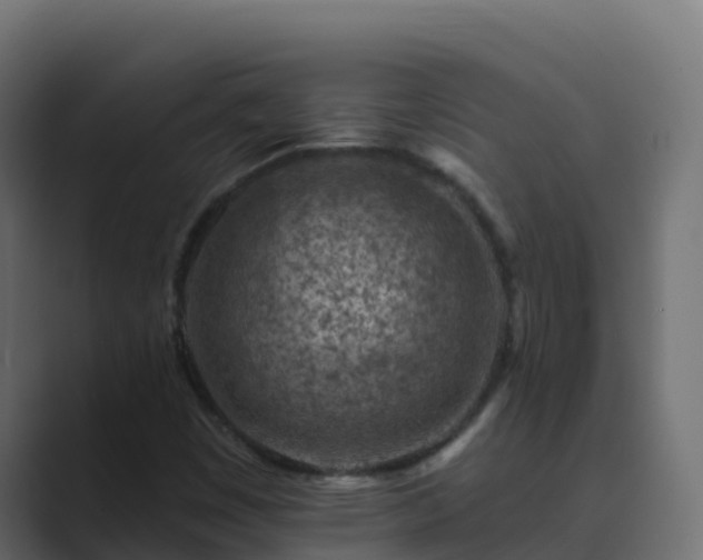 X0000089681449200706281349