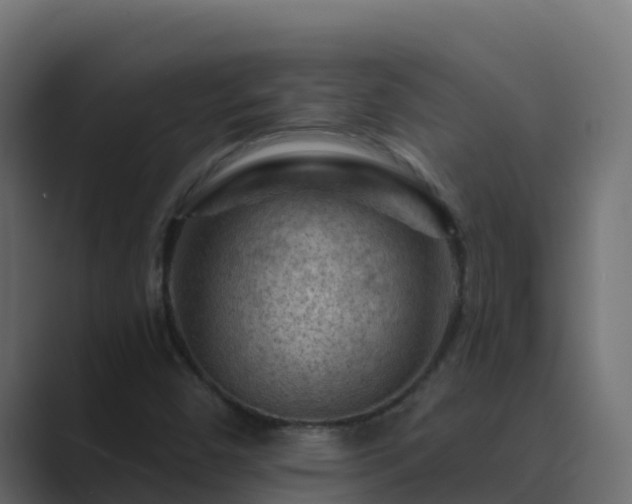 X0000089681450200706281349