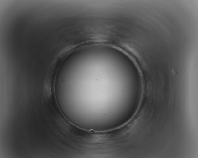X0000089681451200706281349