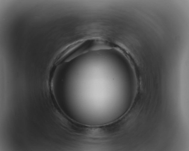 X0000089681452200706281349