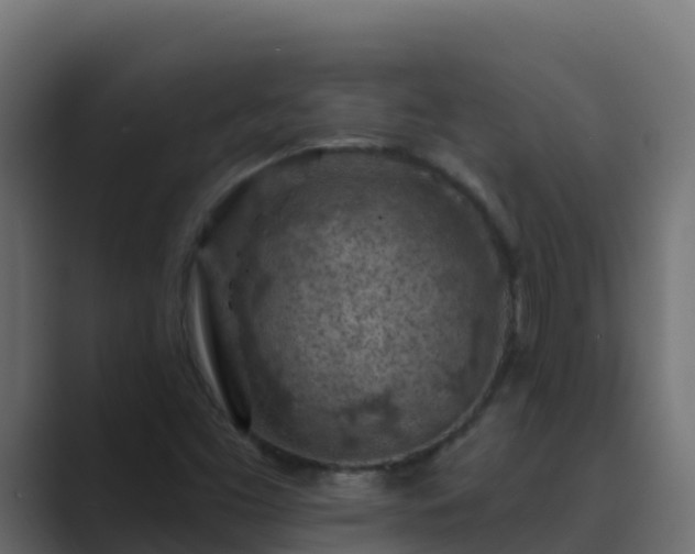 X0000089681453200706281349