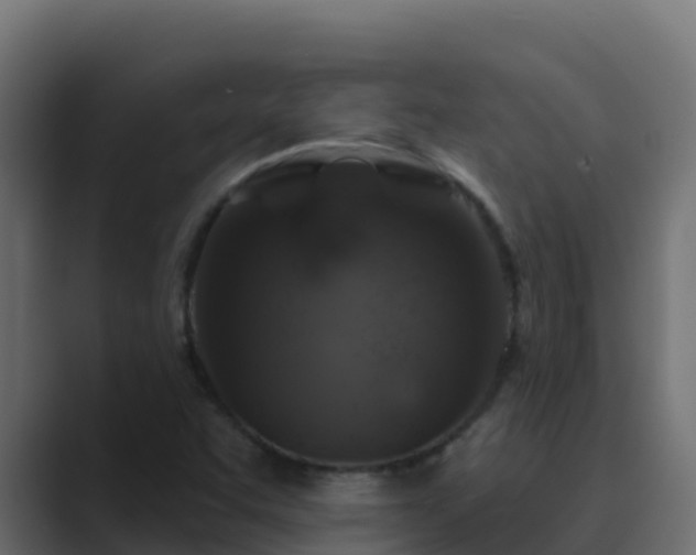 X0000089681455200706281349