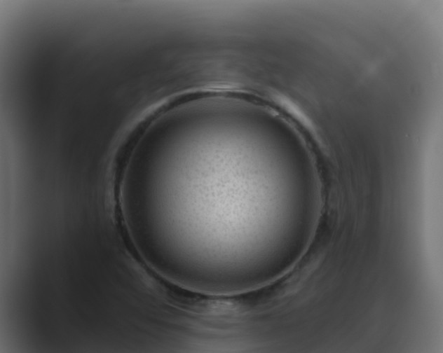 X0000089681456200706281349