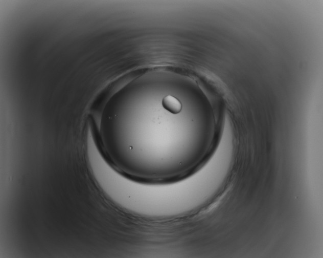 X0000089681457200706281349