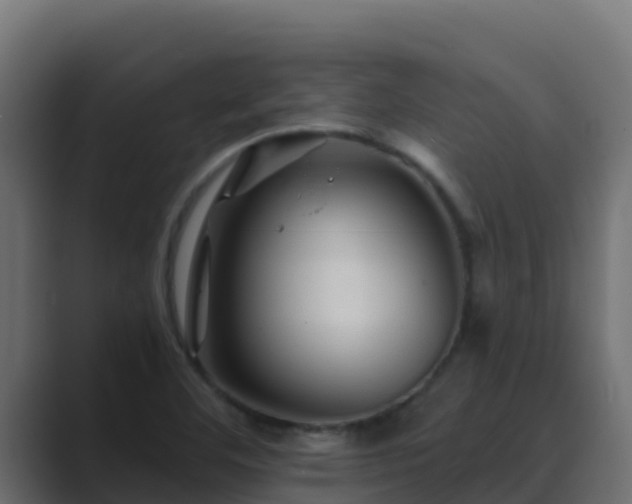 X0000089681460200706281349
