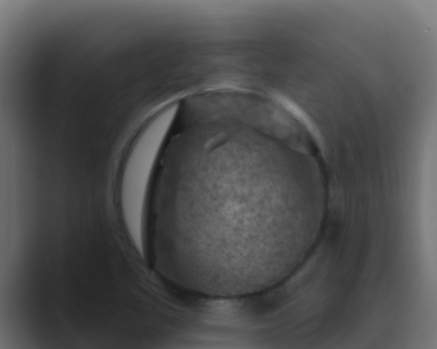 X0000089681461200706281349