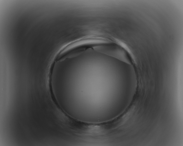 X0000089681463200706281349