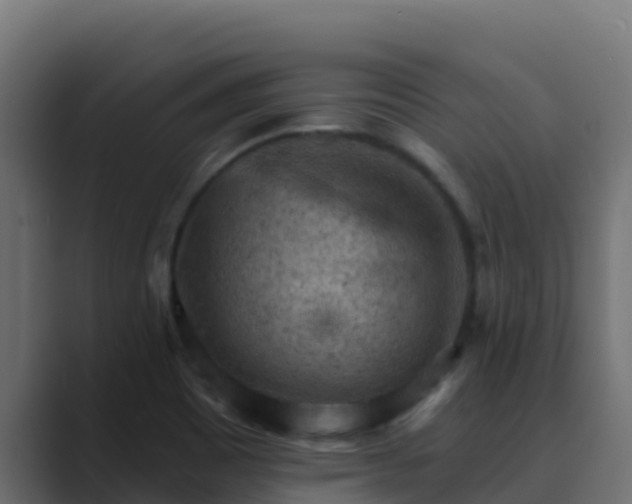 X0000089681465200706281349
