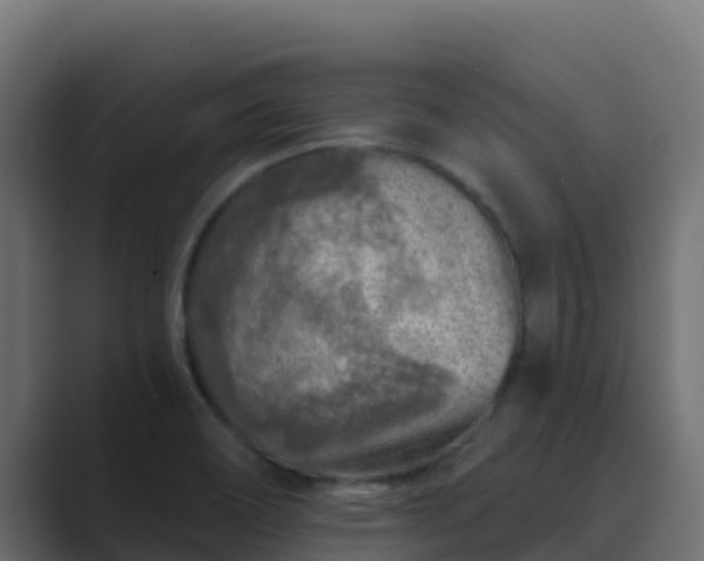 X0000089681466200706281349
