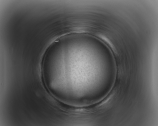 X0000089681467200706281349