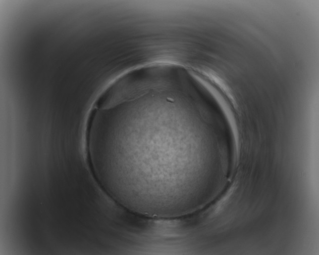X0000089681469200706281349