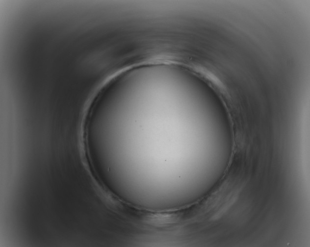 X0000089681470200706281349