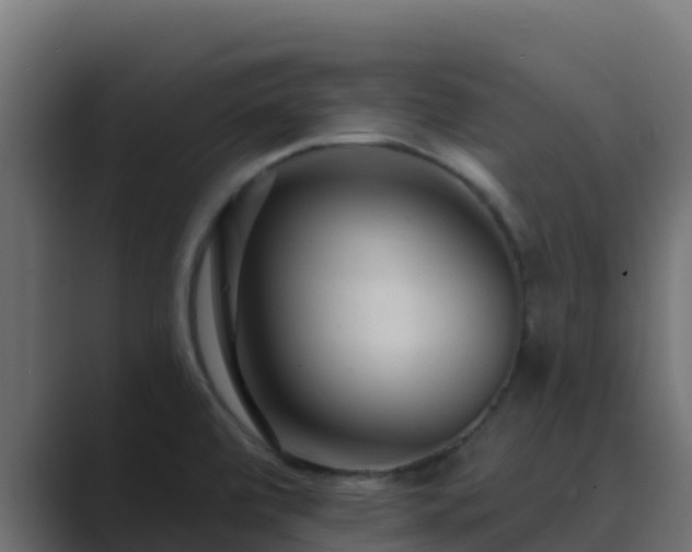 X0000089681472200706281349