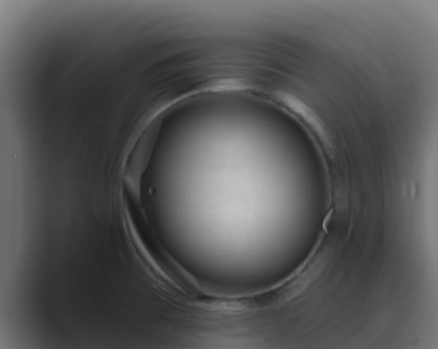 X0000089681473200706281349