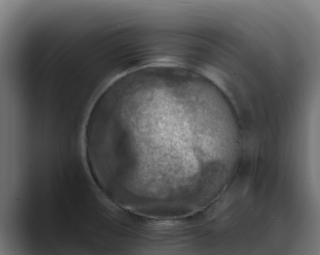 X0000089681474200706281349