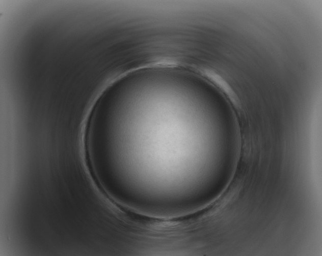 X0000089681475200706281349