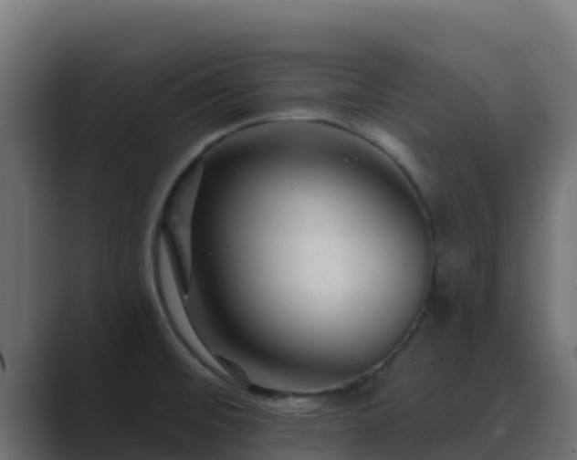 X0000089681476200706281349