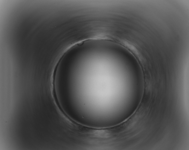 X0000089681479200706281349