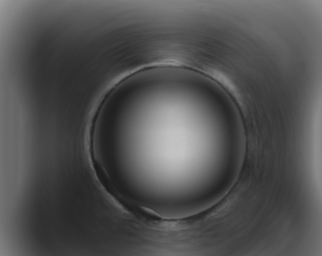 X0000089681480200706281349