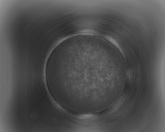 X0000089681482200706281349