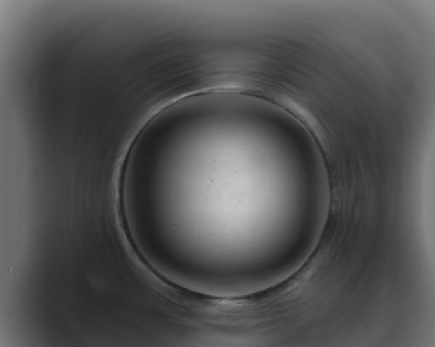 X0000089681483200706281349