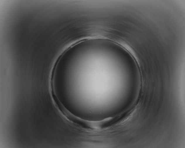 X0000089681485200706281349