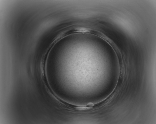 X0000089681487200706281348