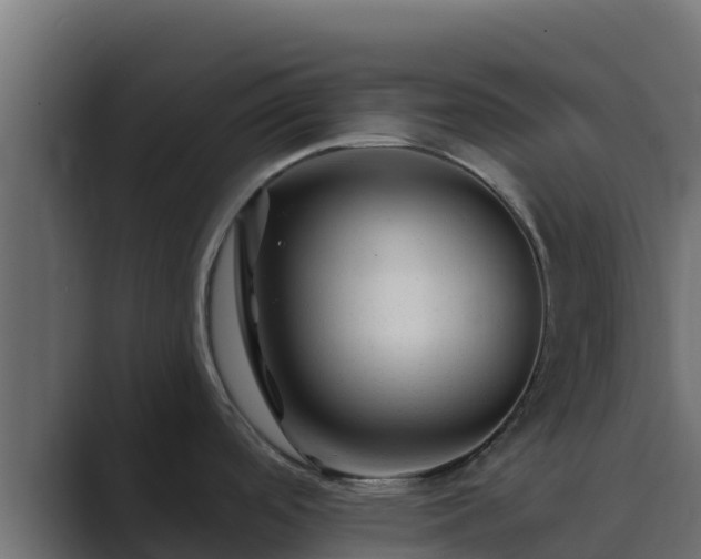 X0000089681488200706281348