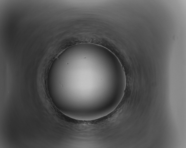X0000089681489200706281348