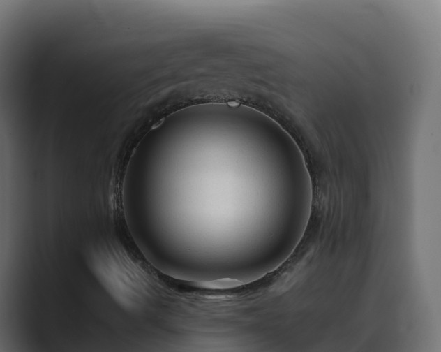 X0000089681490200706281348