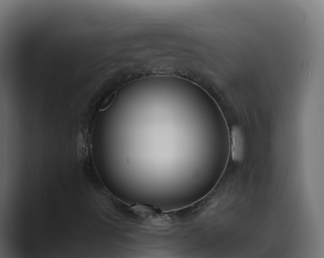 X0000089681491200706281348