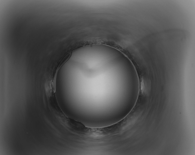 X0000089681492200706281348