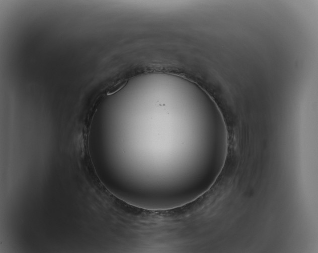 X0000089681493200706281348