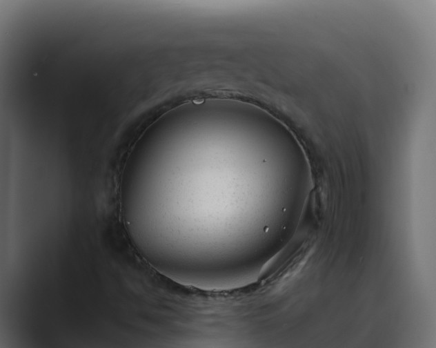 X0000089681494200706281348