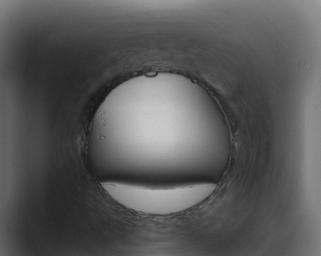 X0000089681495200706281348