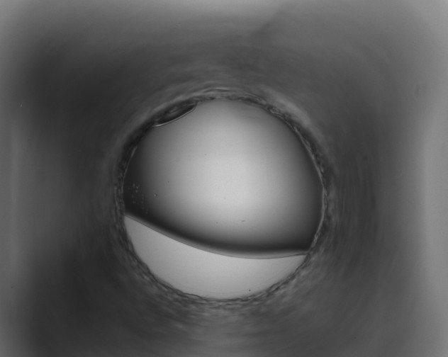 X0000089681496200706281348