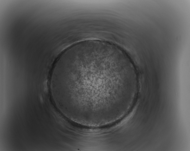 X0000089681497200706281348