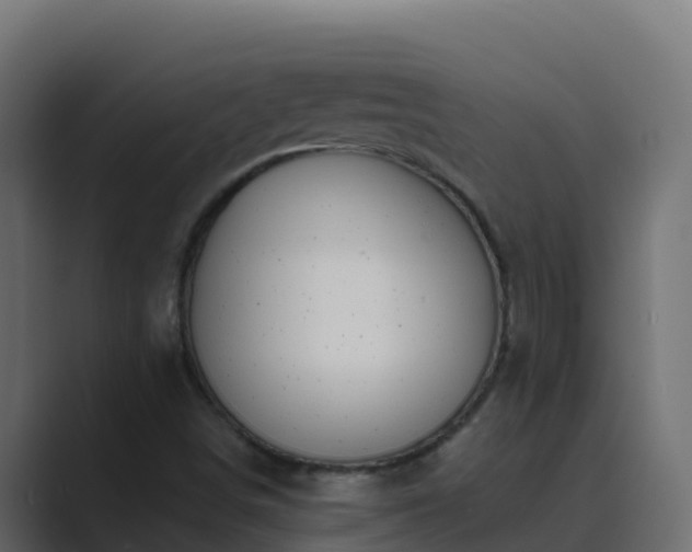 X0000089681498200706281348