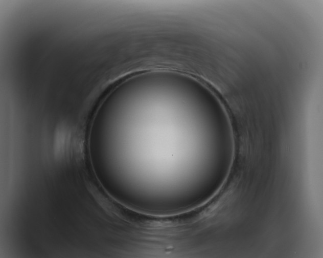 X0000089681499200706281348