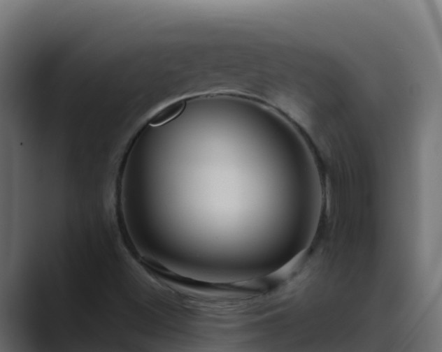 X0000089681500200706281348