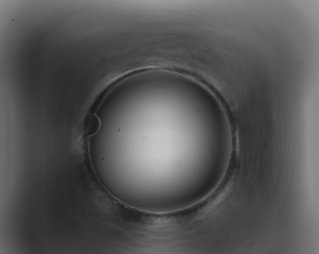 X0000089681501200706281348