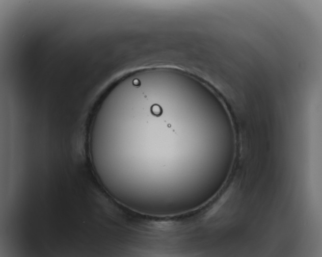 X0000089681502200706281348