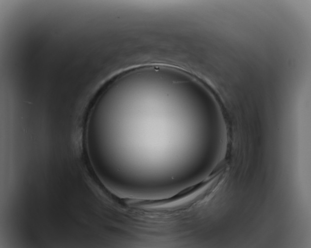 X0000089681503200706281348