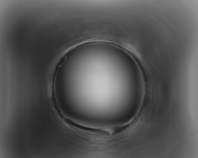 X0000089681504200706281348