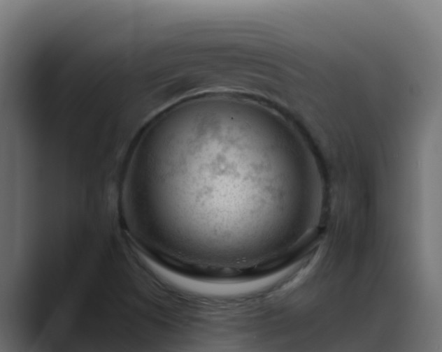 X0000089681505200706281348