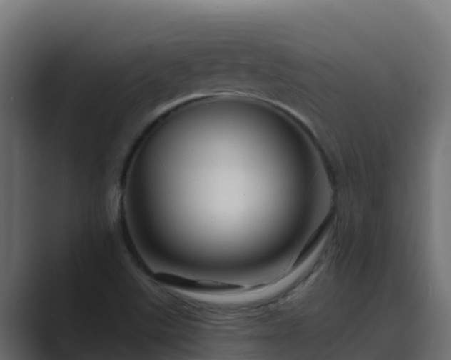 X0000089681507200706281348