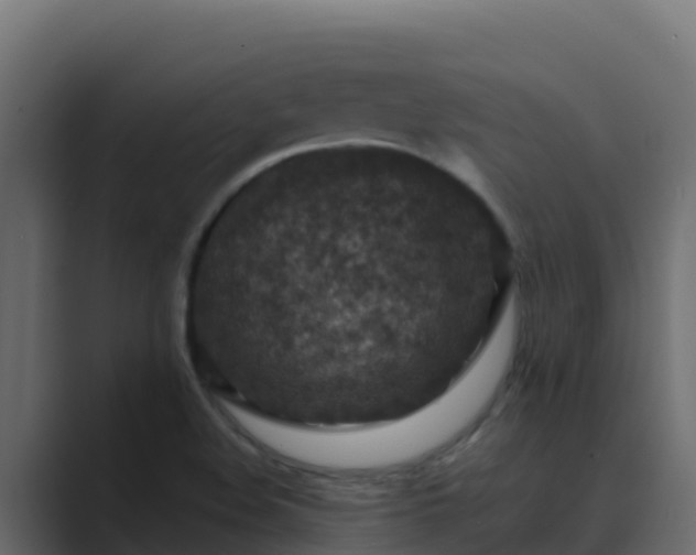 X0000089681508200706281348
