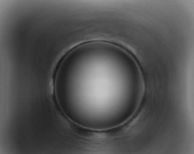 X0000089681509200706281348