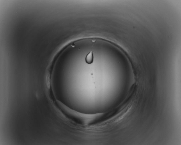 X0000089681510200706281348