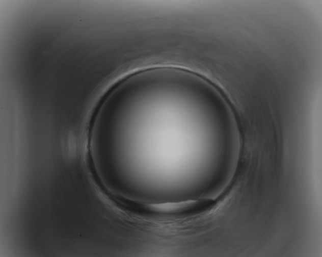 X0000089681511200706281348